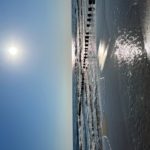 IMG_1414